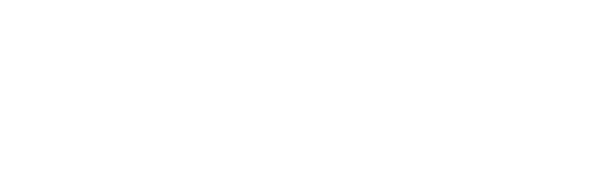 Custom One Renovation Logo - HERO